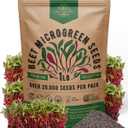 Organo Republic Beet Sprouting & Microgreens Seeds - 20,000 Non GMO Heirloom Seeds, Sprouts in Bulk 1lb Resealable Bag for Planting and Growing in Soil, Coconut Coir, Aeroponic & Hydroponic System