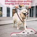 BARKLESS Sturdy No Pull Head Collar for Medium Large Dogs, Gentle Reflective Head Halter with Safety Link, Adjustable Nylon Dog Training Muzzle Leash for Walking Control (Hot Pink, L)