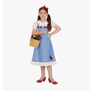 fun shack Dorothy Costume for Girls, Wizard of Oz Costumes for Kids, Girls Halloween Costume, Halloween Costume for Kids, Small