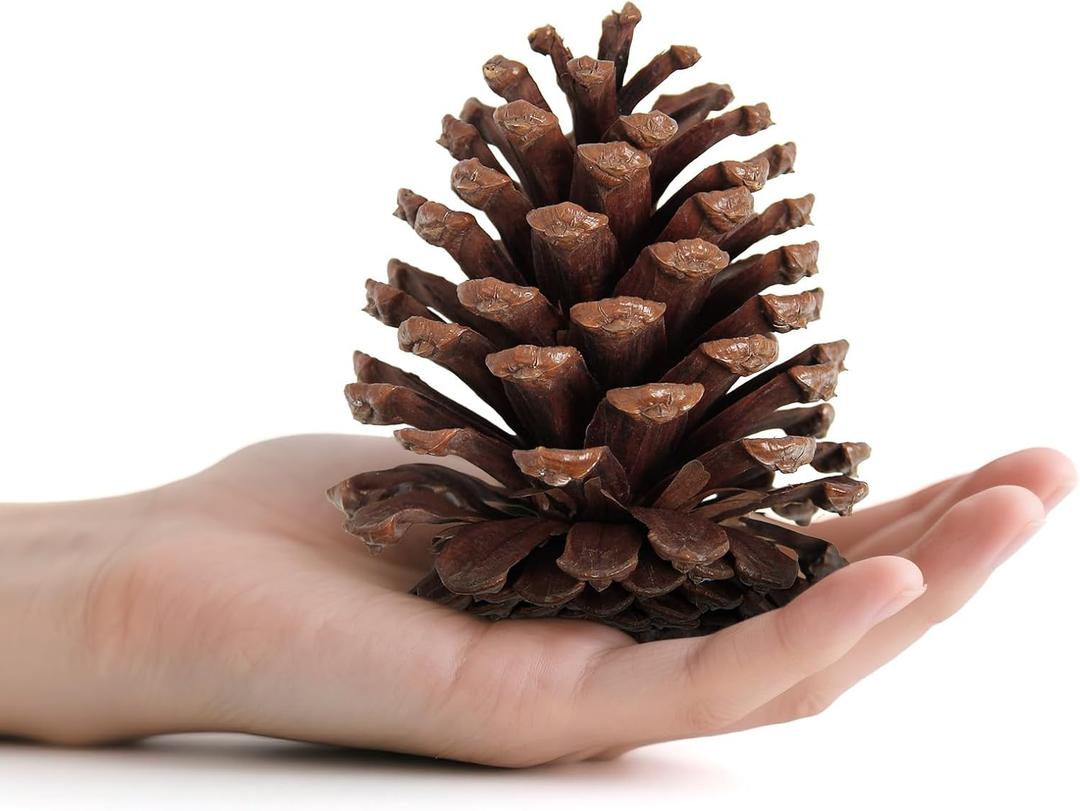 25 Pcs Large Natural Pine Cones for Crafts, 3" to 4" Tall Pine Cones Craft for Christmas, Table, Home Decor, Vase Fillers, Desk & Christmas Trees, Unscented Pinecones Crafts Ornament for Decorating
