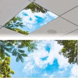 2PCS Fluorescent Light Covers for Classroom Ceiling Lights Magnetic Light Covers,Fluorescent Light Filters for School Home Office Drop Ceiling Lamp Decor Light FiltersSky (Sky1)