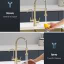 APPASO Gold Kitchen Faucet with Water Filter, Brushed Gold Kitchen Sink Faucet, 3 in 1 Kitchen Faucet (Without Water Filtration Device)