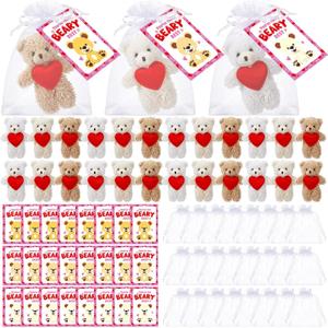Jenaai 24 Set Valentines Day Mini Teddy Bear Gift Bulk 5.1 Inch Valentines Day Stuffed Animals Plush Toys Small Cute Bear with Greeting Cards and Organza Bag for Girlfriend Birthday Party(Heart)