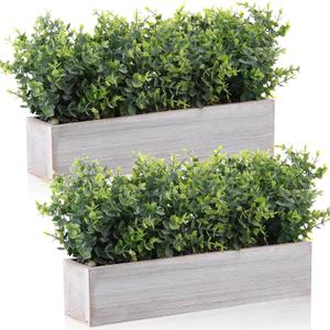 Lyrow 2 Pack Eucalyptus Plant,White,16.1 Inch,White Frosted Pointed Leaves