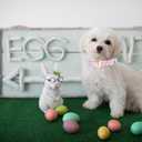 Elegant little tail Easter Dog Collar, Bunny Eggs Print Dog Collar Pet Collar Pink Collar Girl or Boy Dog Collar Puppy Pet Gift Adjustable Dog Collar for Large Dogs