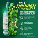 GuruNanda Fresh Breath Mouthwash 12-Hour Fresh Breath & Helps Fight Bad Breath ADA Accepted, Alcohol & Fluoride-Free Oral Rinse Wild Mint, 33.8 oz/1 Liter