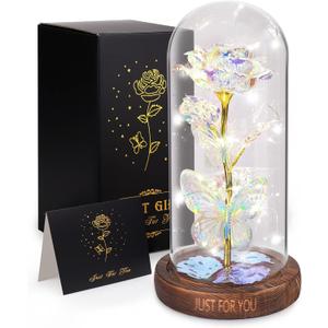 WOKEISE Valentines Day Gifts for Her, Light Up Rose Butterfly in Glass Dome, Birthday Anniversary Flowers Lighted Roses Gifts for Women,Wife,Mom, Grandma,Girlfriend,Girls,Sister-Silver