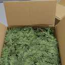 6 Ft Christmas Cedar Garland: Artificial Real Touch Soft Thick Green Wreath for Outdoor Indoor Home Front Mantle Fireplace Decorations