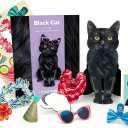 Freshcut Paper Pop Up Pet Cards, Gifts for Cat Lovers, Birthday Cards with Accessory Sheet, Note Card & Envelope, 3D Popup Greeting Card, Black Cat (Everyday)