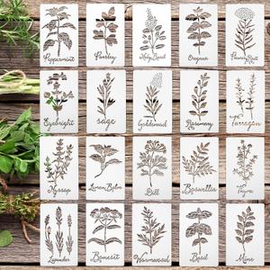 Jecery 20 Pcs Herb Stencils for Craft Painting on Wood Reusable DIY Craft Paint Template Herb Botanical Leaf Garden Kitchen Plant Stencils for Art Scrapbook Wall(5.91 x 3 Inches)