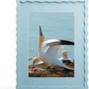 11x14 Picture Frame with Mat for 8x10, Wavy Edge Wooden Real Glass Photo Frame for Wall Hanging, Blue, 1 Pack