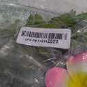 Princess Costume Accessories Set for Women Include Ocean Pendant Hawaii Flowers Garland Headband Flower Hair Clips 3 Boho Shell Anklet Hawaiian Party Costume Accessories Party Favors Dress Up Set