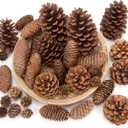 JOHOUSE 50PCS Large Natural Pinecone Ornaments, Pine Cones for Crafts, Pinecone Ornaments for Christmas Tree, Wreath Making, Winter Christmas Bowl Fillers, Winter Vase Filler