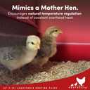 RentACoop 12x12 Adjustable Heating Plate with Bonus Foldable Anti-Roost Cone for up to 20 Chicks | Chick Brooder Heat Plate Energy-Efficient 22-Watt Chick Heater - Safer Than Heat Lamps