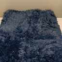 TABAYON Shaggy Navy Blue Rug, 2x3 Area Rugs for Living Room, Anti-Skid Extra Comfy Fluffy Floor Carpet for Indoor Home Decorative