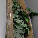 Faux Olive Tree 6FT, Artificial Potted Tree with Planter, Silk Plants Indoor Outdoor, Lifelike Olive Plants with Natural Wood Trunk, Fruits and Buds, Home Office Decor, 1 Pack