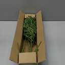 Hollyone 8pcs Fake Fern Stems Bush for Outdoors Indoors 19.6" Boston Ferns Artificial Plants Greenery Stems Faux Shrubs Plant for Garden Farmhouse Front Porch Table Window Box Home Decorations