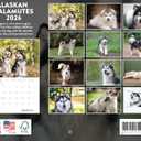 Alaskan Malamute Calendar 2026 Monthly Wall Calender 12 Month | American Made In The USA
