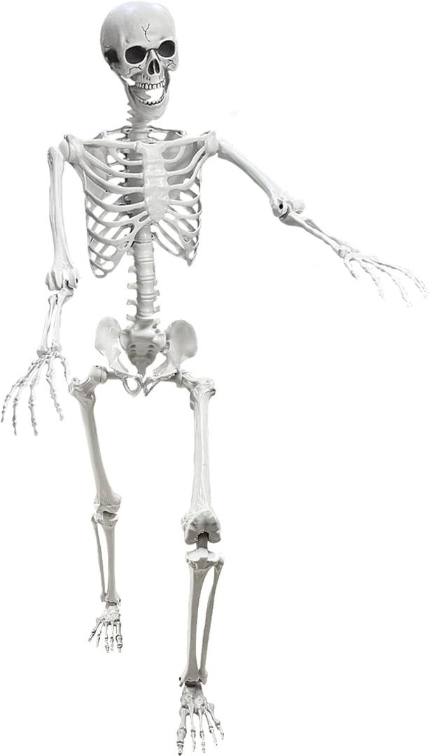 Lodou 5.4Ft Posable Life Size Human Adult Skeletons Plastic Human Bones with Movable Joints for Halloween Decoration