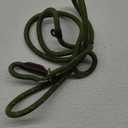 Fida Durable Slip Lead Dog Leash, 6 FT x 3/8" Heavy Duty Dog Loop Leash, Comfortable Strong Rope Slip Leash for Small Dogs and Puppies, No Pull Pet Training Leash with Highly Reflective(3/8", Green) (Small(3/8"-6ft))