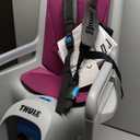 Thule Children's RideAlong Bike Seat, Light Gray, One Size