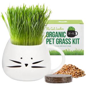 The Cat Ladies Organic Cat Grass for Indoor Cats - Growing Kit with Organic Seed Mix, Soil and White Cat Planter. Natural Hairball Control and Digestion Remedy, Cat Gifts