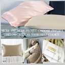 ZIMASILK 100% Pure Mulberry Silk Pillow Cases for Hair and Skin, Soft, Hypoallergenic & Smooth, Both Sides Grade 6A Silk, with Hidden Zipper, Gift for Women Men, 1pc (Queen 20''x30'', Taupe)