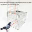 Animal Trap Cage Pigeon Chicken Squirrel Chipmunk Outside Trapping Live Small Animal Bird Trap Cage