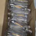 25 Pack ST40 LED Replacement Bulbs, Shatterproof Vintage Edison Bulbs for Outdoor String Lights, E17 Intermediate Base, 0.6W Ultra-Low Energy Saving, Warm White 2700K, Weather-Resistant