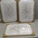 Neutral Botanical Prints Wall Art Decor Plant Minimalist Canvas Pictures Vintage Beige Wall Art Modern Farmhouse Line Poster Boho Abstract Painting Artwork for Bedroom 16x24 Inch Framed Set of 3