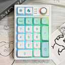 FEKER × Keycool K19  Numpad Hot Swappable Programming Mechanical Numeric Keypad, RGB 21 Keys Wired Mini Gaming Keypad, Mint
