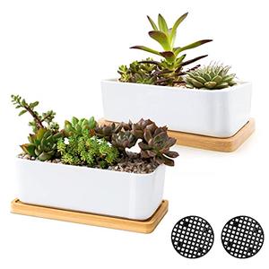 ARVINKEY White Ceramic Succulent Planters, Indoor and Outdoor Succulent Planters, Set of 2 Small Cactus Containers, Bonsai Pots, Flower Pots with Drainage Hole and Bamboo Bowl (No Plant)