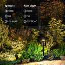 SUNVIE All-in-ONE Landscape Lighting Kit 6-Pack LED Outdoor Pathway Lights, 2-Pack Spotlights, 60W Transformer, 100FT 16/2 AWG Wire and Connectors Outdoor Landscape Lighting for Walkway Garden Yard