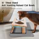 Elevated Cat Bowls with Food Mat, 15 Tilted Anti Vomiting Raised Cat Feeder for Indoor Cats and Puppy, 2 Stainless Steel Bowls for Food and Water