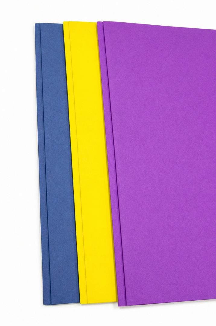 2 Pocket Folders with 3 Prongs - Assorted Colors, 3 Pack