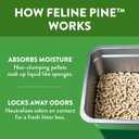 Feline Pine Platinum Non-Clumping Cat Litter, Feline Pine Cat Litter 18lb