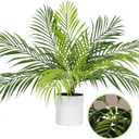 RECUTMS Fake Plants Tall 19In Artificial Tropical Palm Tree Potted with Light Faux Monstera Greenery Plants in White Pot for Indoor Outdoor Home Office Living Room Bedroom Desk Balcony Farmhouse Decor