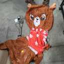 Lightweight Inflatable Deer With Festive Design, Easy To Inflate, Stable When Standing, And Perfect For Indoor Holiday Décor, Ideal Near A Christmas Tree