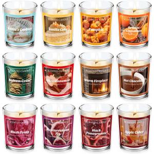 STRN Scented Candles Set, 12 Fragrances, Winter Scented Soy Wax Glass Jar Candle, Apple Cinnamon, Warm Fireplace, Aromatherapy Candles for Home, Office, SPA, Bathroom, 1.76 OZ * 12 Packs