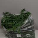 2 Pack 6FT Real Touch Norfolk Pine Christmas Garland  Artificial Greenery Holiday Garland for Mantel, Staircase, Fireplace, Windows, Doors & Outdoor Winter Decorations