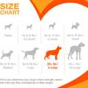 Nylabone Textured Knuckle Bone Power Chew Toy for Dogs, Durable & Tough Dog Toys for Aggressive Chewers, Bacon Flavor, X-Large - 50+ lbs, 1 Count