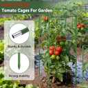 Halatool 4 Pack Square Tomato Cages for Garden, 45 Inch Heavy Duty Adjustable Metal Tomato Trellis for Climbing Plants Green Plant Support Stakes for Vegetables Flowers Fruits&Raised Bed Outdoor