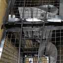 2-Pack Rat Traps Humane Live Mouse Vole Chipmunk Trap Cage for Indoors and Outdoors (Black)