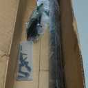 6' Telescopic 47" - 71" Gate Brace Anti Sag Gate Kit for Wooden Fence Black Steel Adjustable Privacy Gates Hardware Kit for Outdoor Vinyl and Wood Fence Gates