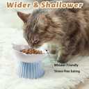 Ceramic Raised Cat BowlTilted Raised Bowl Anti Vomit Bowls for Indoor Cats Whisker Friendly Pet Feeder for Cats Puppies, Microwave and Dishwasher Safe
