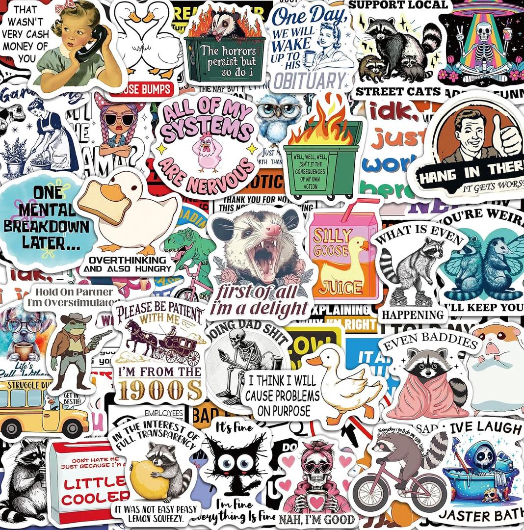300 Pcs Funny Stickers for Adults, Water Bottle Vinyl Meme Laptop Waterproof Cute Sticker Pack, Scrapbook Planner Journal Stickers Supplies Gifts for Men Women Hard Hat Bumper