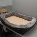 JOYELF Large Memory Foam Dog Bed, Orthopedic Dog Bed & Sofa with Removable Washable Cover and Squeaker Toy as Gift (Large-36"x27")