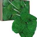 TurelinnG Preserved Moss Decor - Real Forest Moss, Moss for Crafts, Flexible for DIY Crafts, Home, Wall, Terrarium, Art Projects(Dark Green 2 sq.ft)