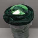 iPlay, iLearn Kids Dinosaur Sleeping Bag, Toddler Boys Dinos Nap Mat, Plush Animal Slumber Bag, 2 In 1 Daycare Preschool Kindergarten Birthday Gift Travel Sleepover for 3 4 5 6 7 8 10 12 Yr Child Teen