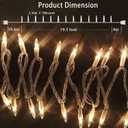HISHINY Christmas Lights 100 Count Mini Clear Lights 21ft White Wire Christmas Tree String Lights Set for Outdoor Indoor Christmas Decorations Wedding Valentines Day Decor,UL Certified (21feet)
